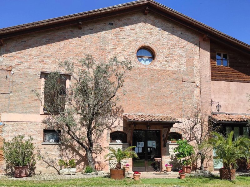 Agriturismo L' Ulivo