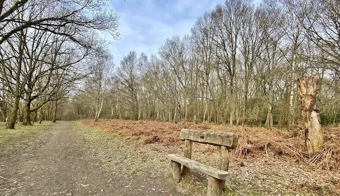 Epsom Common Local Nature Reserve