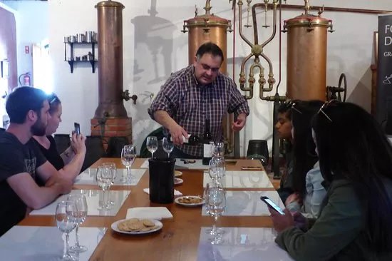 VitiScape Premium Wine Tourism