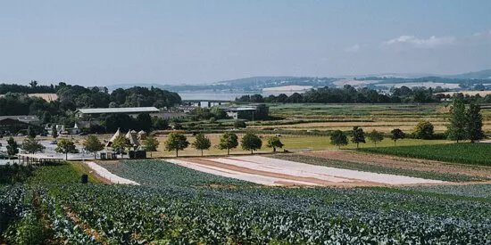 Darts Farm