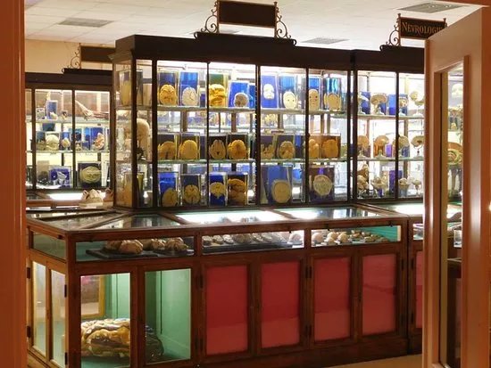 Musee des Sciences Medicales et de la Sante