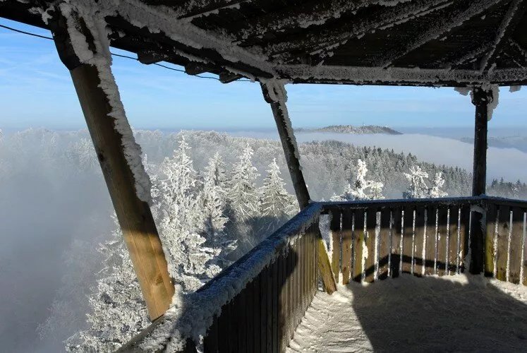 Aussichtsturm Albis-hochwacht