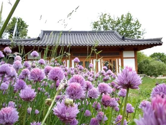 Original Light Zen Temple