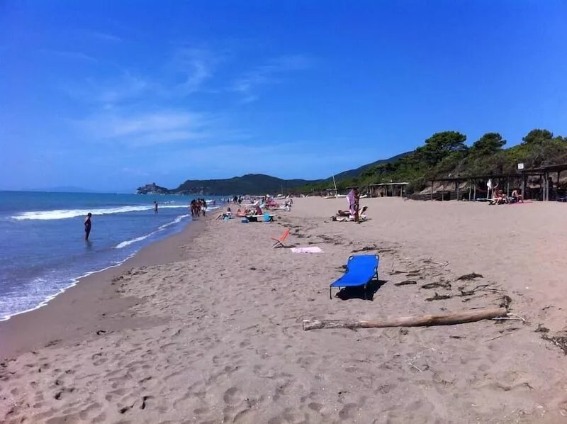 Exclusive villa in pine grove in Maremma