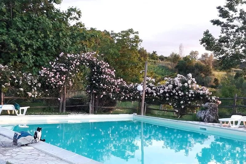 Lovely  Villa,private pool, stunning view,close to Rome