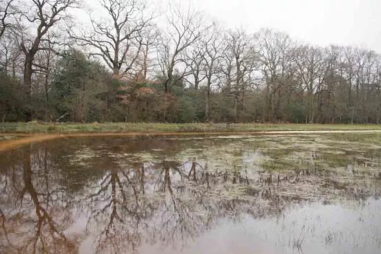 Bramshot Farm Country Park