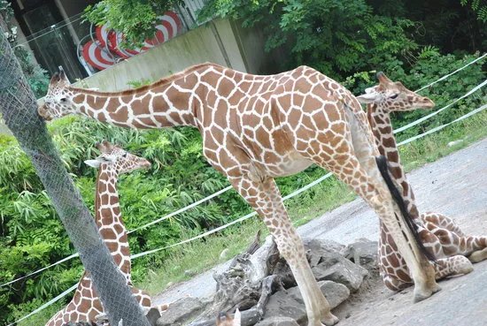 Zoo Duisburg