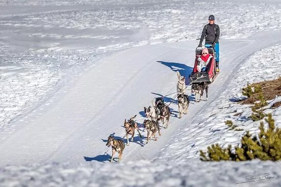 Nordic Team