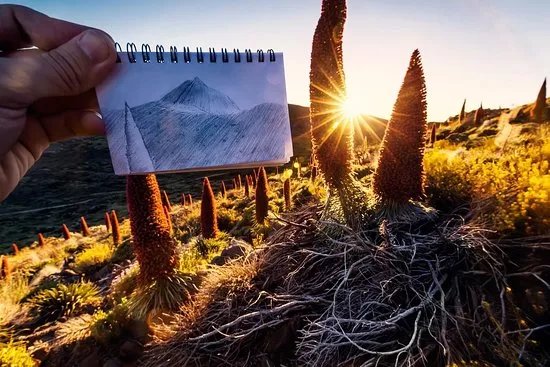One Guide Tenerife
