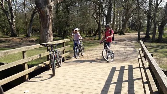 The Woods Cyclery