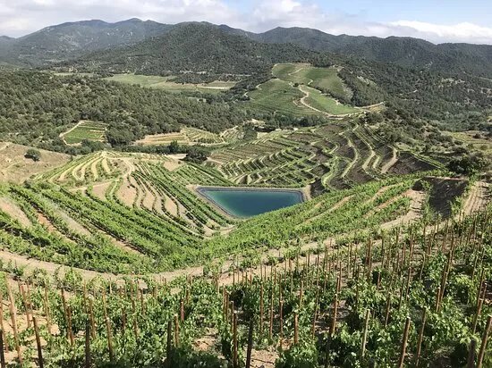 Terres De Vidalba - Vins Doq Priorat