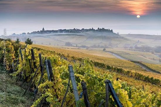 Jean Becker Le Vignoble aux 5 Sens