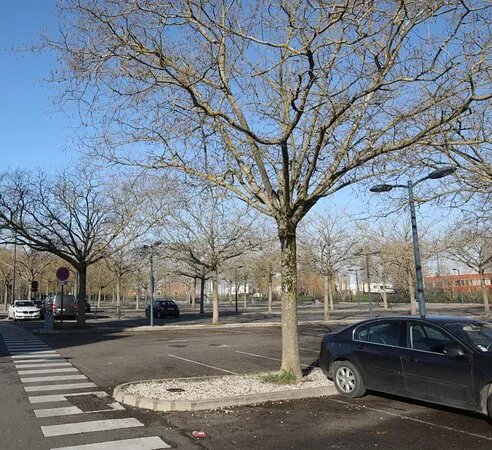 Cine Cap Vert