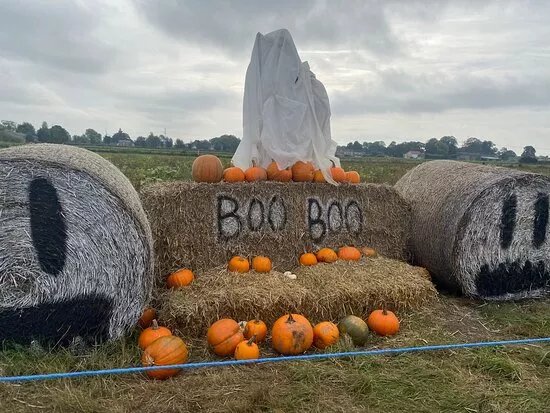 Bert's Barrow