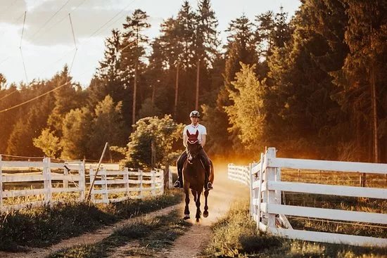 Riding center Kurovt