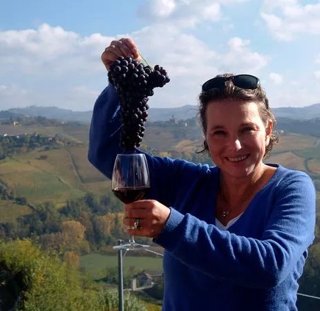 Bordeaux SIP Wine Tours