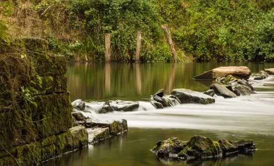 Alyn Waters Country Park