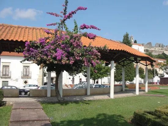 Parque Municipal da Juventude