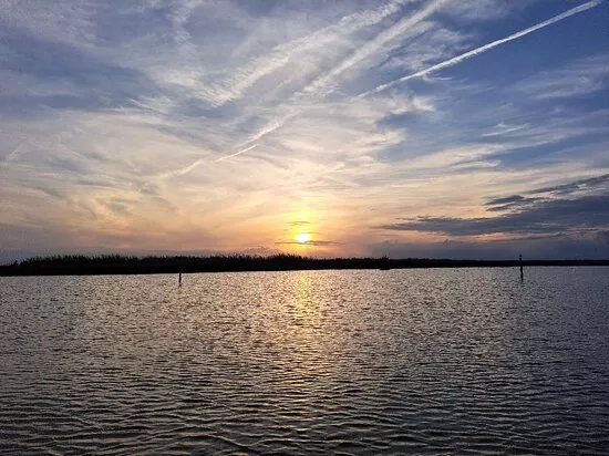 Paseos en Barca Albufera