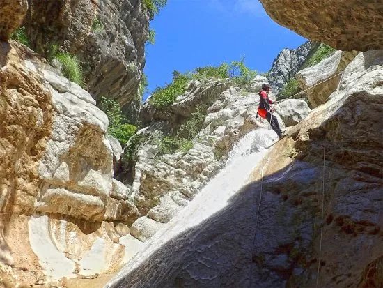 Le Bureau Des Moniteurs du pays Nicois