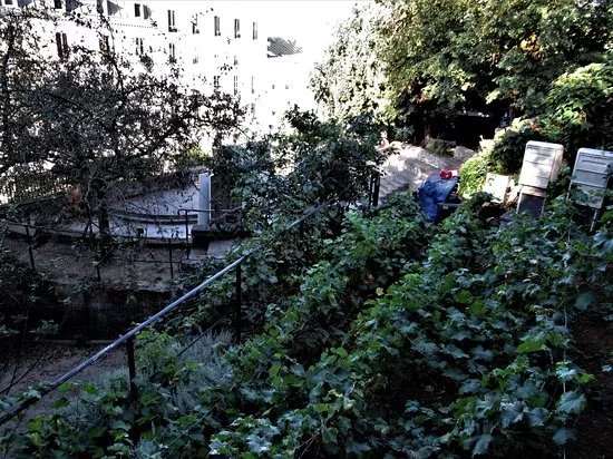 Arenes de Montmartre