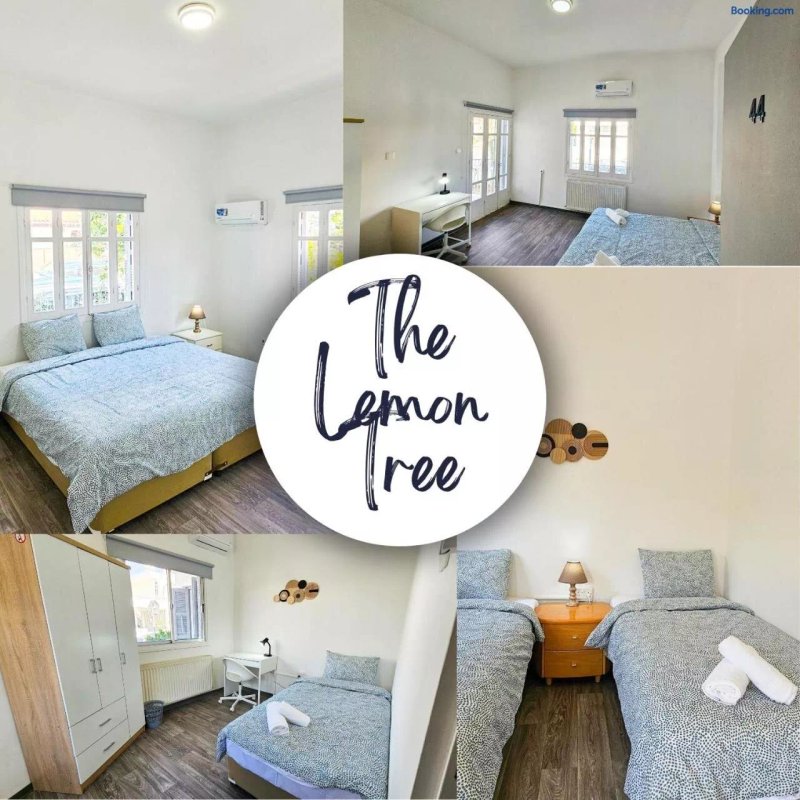 Lemon Tree