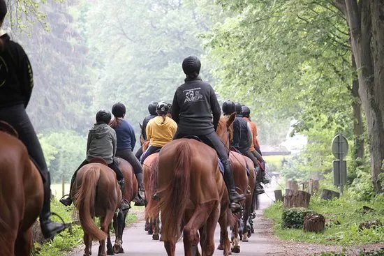 Centre Equestre le Comte