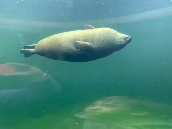 SEA LIFE Centre Weymouth