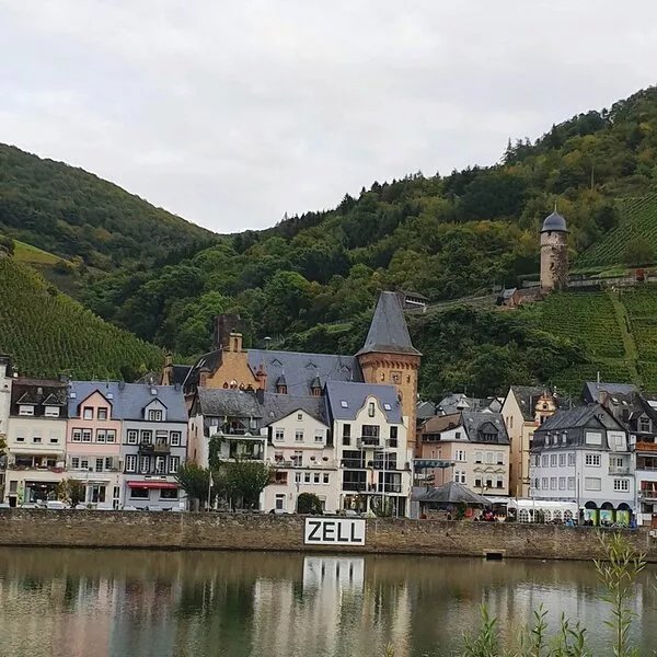 Newly renovated comfortable apartment with a view of the Moselle