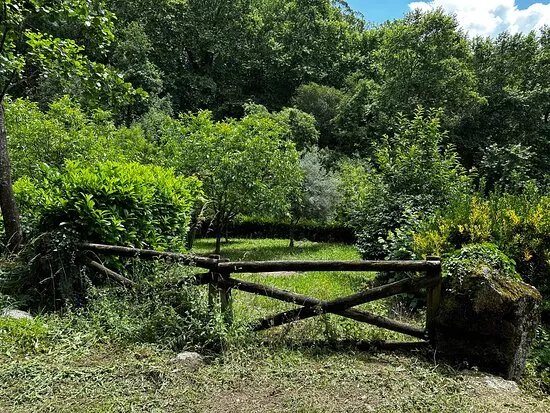 Barrias de Jugueiros – Cascata Natural