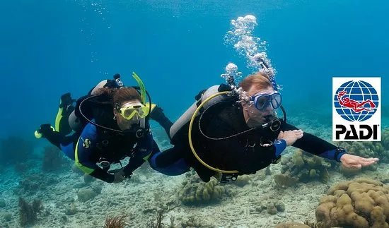 Scuba Ts Diving