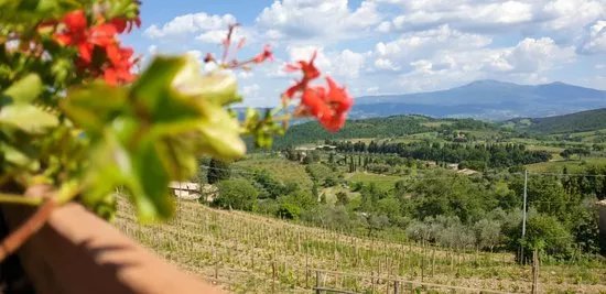 Azienda Tornesi