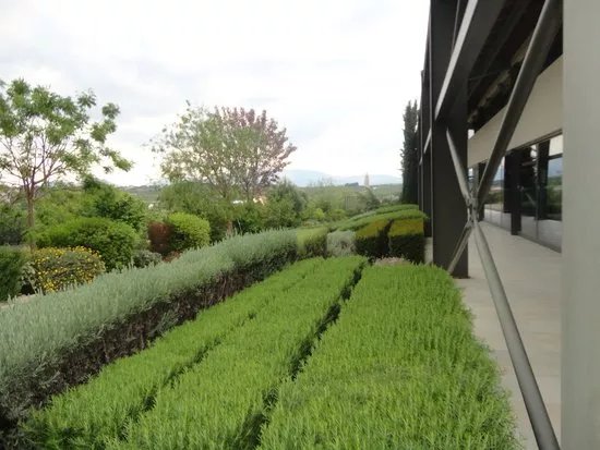 Papagiannakos Winery