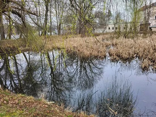 Zinnteich Mit Rittergutpark