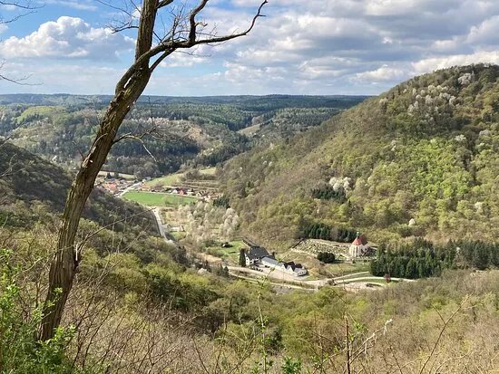 Weingut Stift Gottweig
