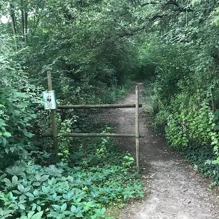 Oasi WWF Bosco di Montorfano