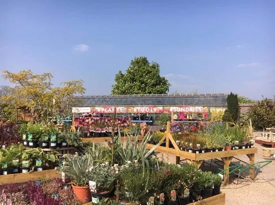Paddock Farm Nursery & Water Gardens