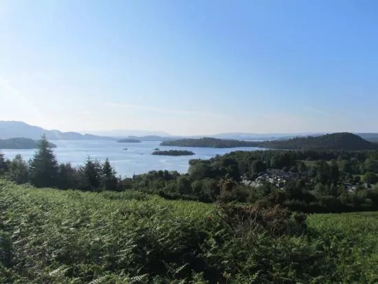 Loch Lomond National Nature Reserve