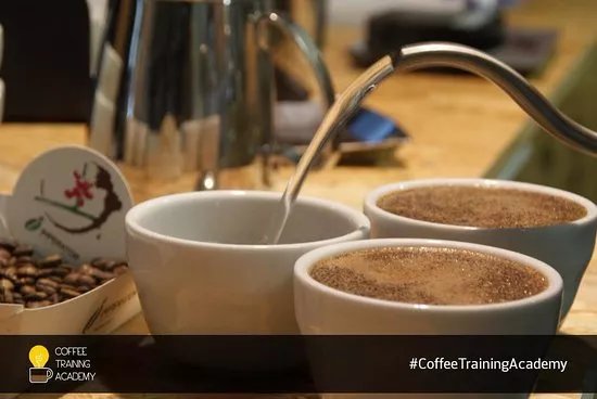 Coffee Training Academy