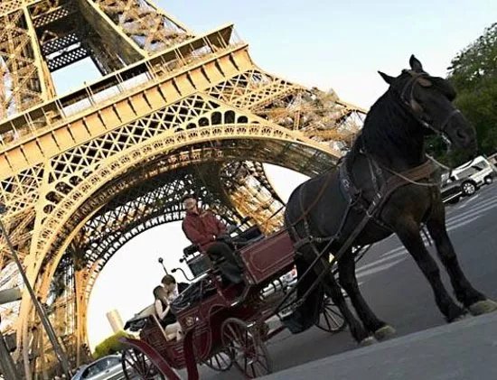 Experience Paris - Private Horse and Carriage Rides