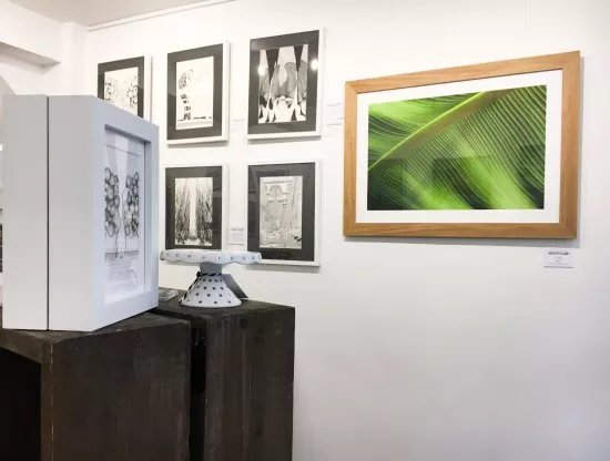 Art and Soul Gallery