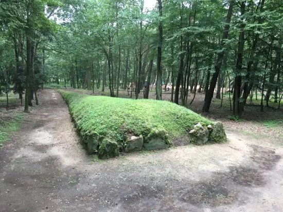 Megaliths Kujawskie Cultural Park in Wietrzychowice