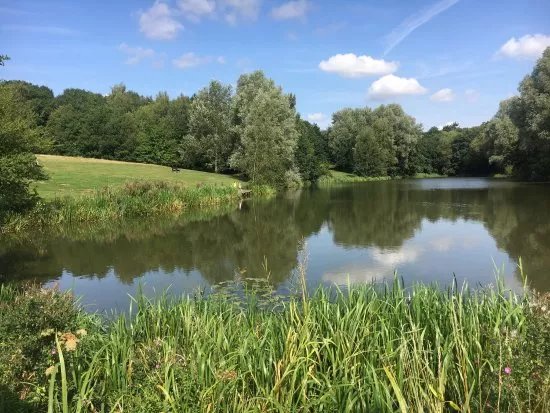 High Woods Country Park