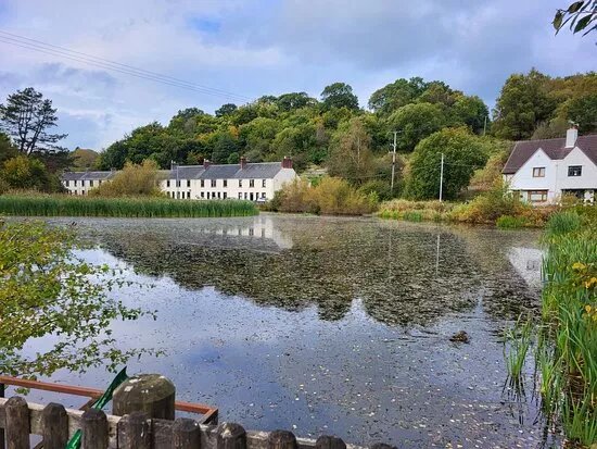 Catrine Nature Reserve And Vows