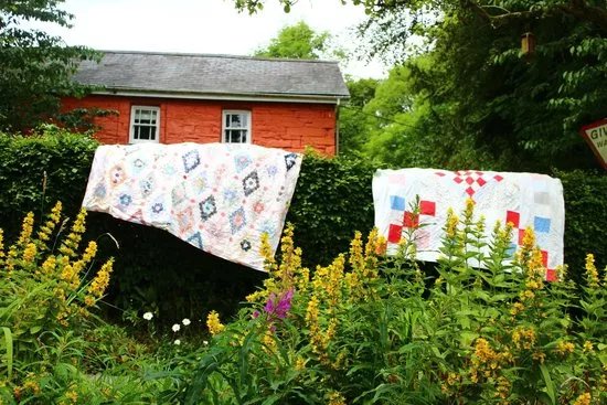 Jane Beck Welsh Blankets