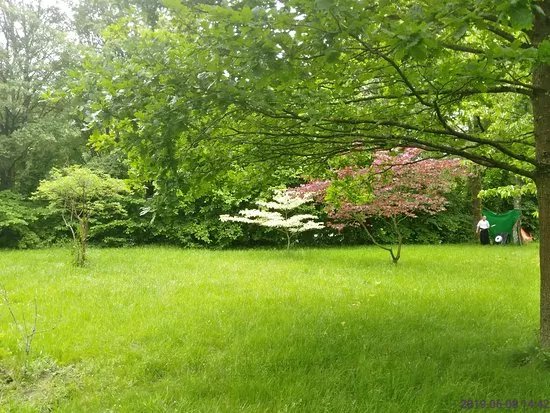 Japanischer Garten