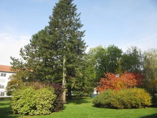 Arboretum Sezimovo Usti