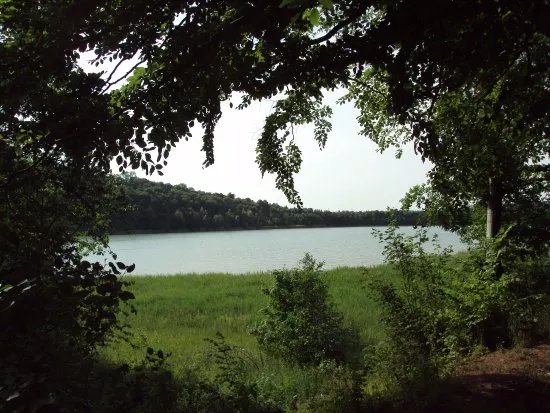Reihersee