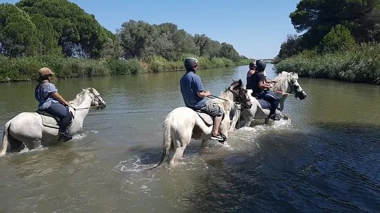 Annie Poney Club