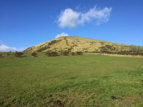 Largo Law